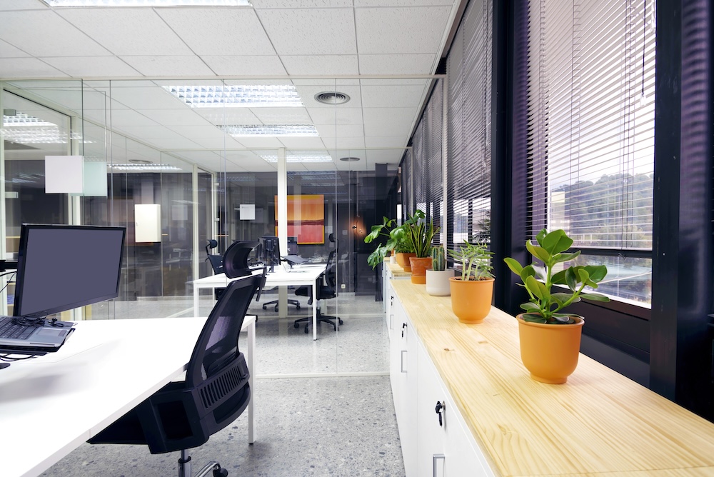 Leasing office space with modern private offices, glass walls, large windows, and bright contemporary workspaces