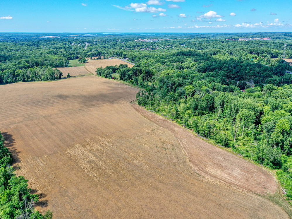 Paradise Road Development MacKenzie Commercial Real Estate