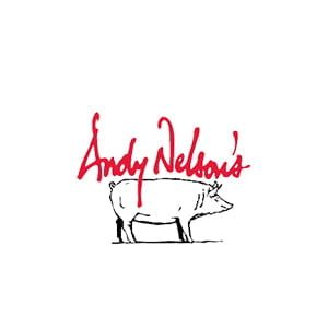 Andy Nelson's